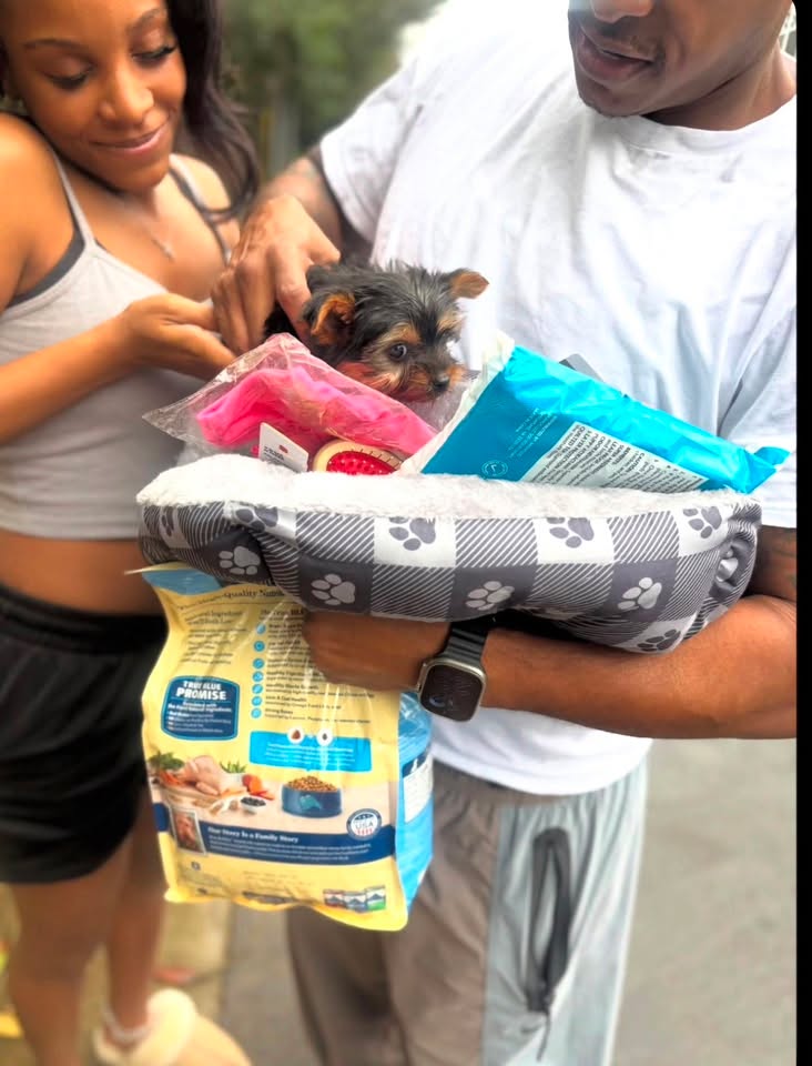 Two people with a small black-and-tan puppy in a pet bed.