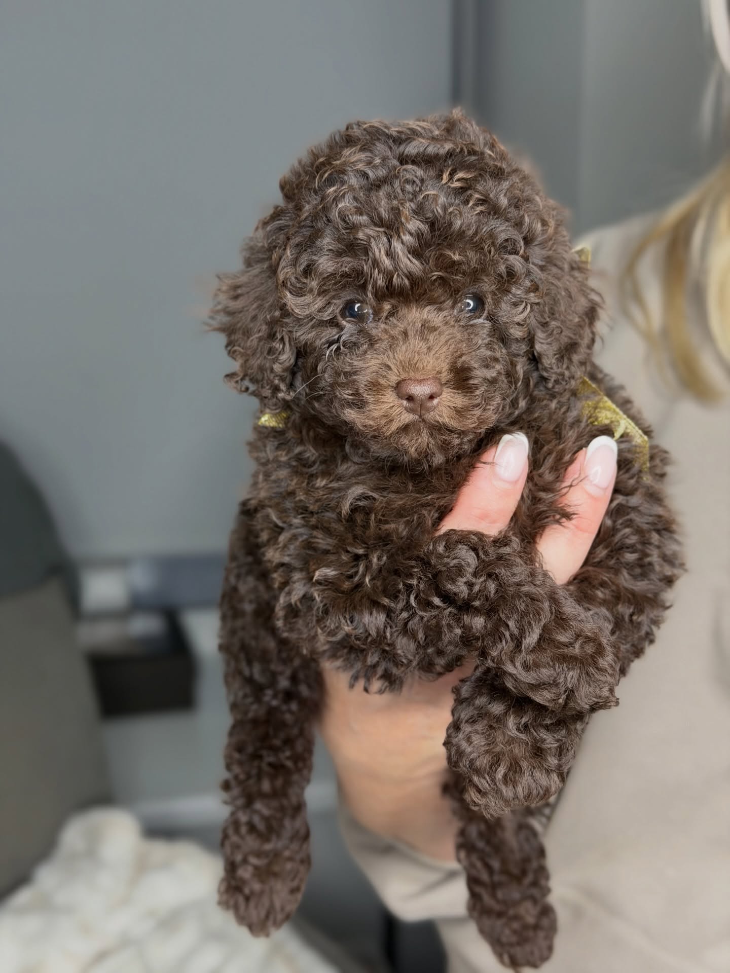 Coco looking toward the camera, photo 5 of 5